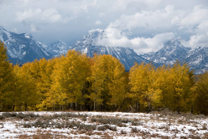 Liz Bugg - The Rockies photography