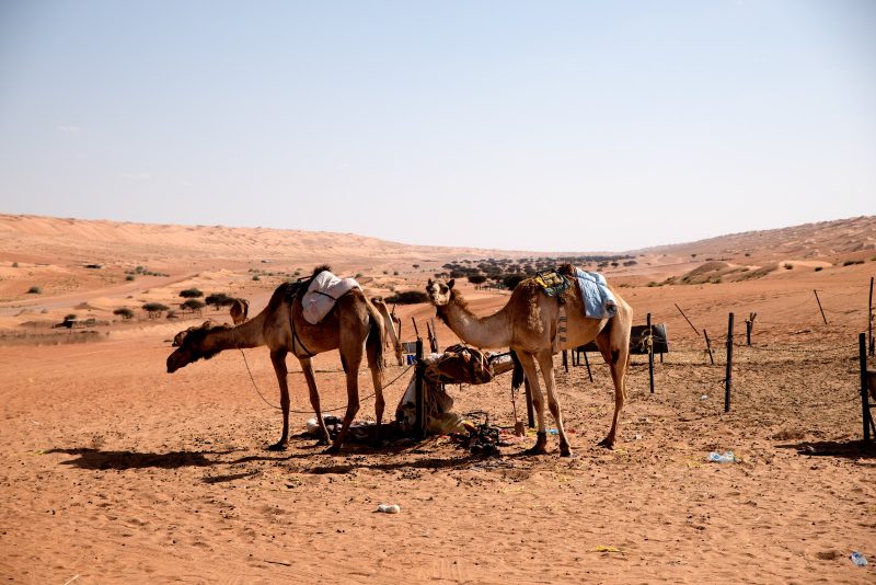 Liz Bugg - Oman photography