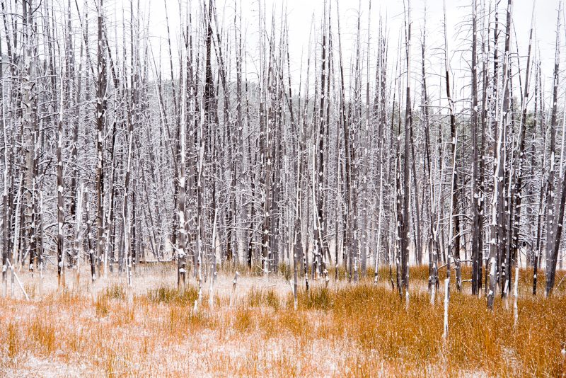 Liz Bugg - The Rockies photography